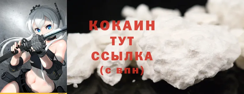 Cocaine Fish Scale  закладки  OMG онион  Заводоуковск 